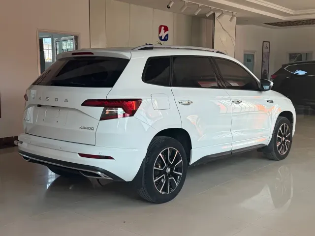 Škoda Karoq 2023 TSI280 Premium Edition — Фото автомобиля 4