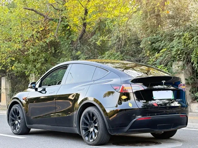 Tesla Model Y — Фото автомобиля 10