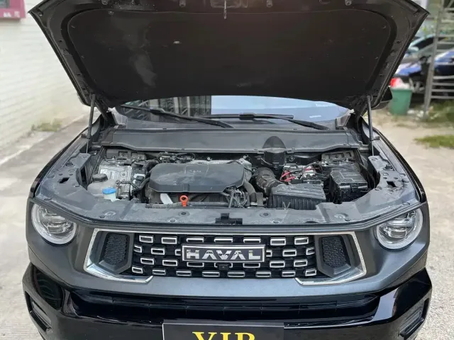 Haval Big Dog — Фото автомобиля 12