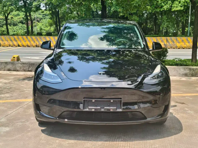 Tesla Model Y — Фото автомобиля 9