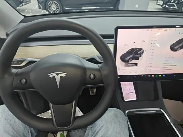 Tesla Model Y — Фото автомобиля 9
