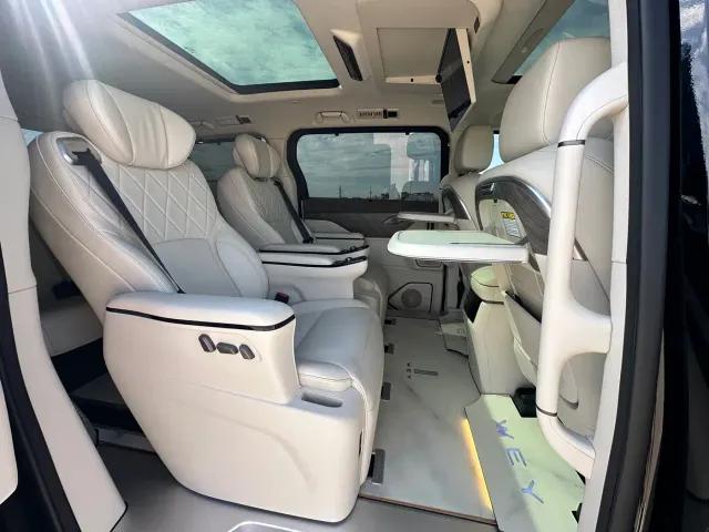Wey Alpine — Фото автомобиля 15