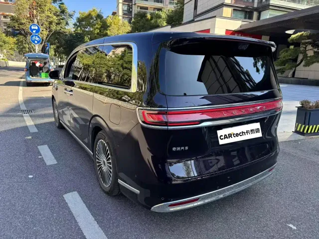 Luxeed Zunjie MPV — Фото автомобиля 6