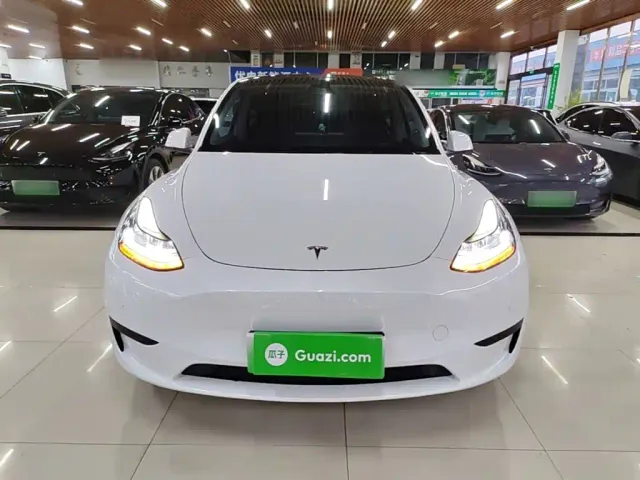 Tesla Model Y — Фото автомобиля 2
