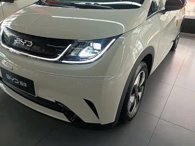 BYD Dolphin — Фото автомобиля 23