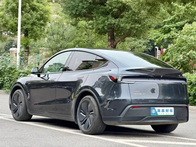 Tesla Model Y — Фото автомобиля 6