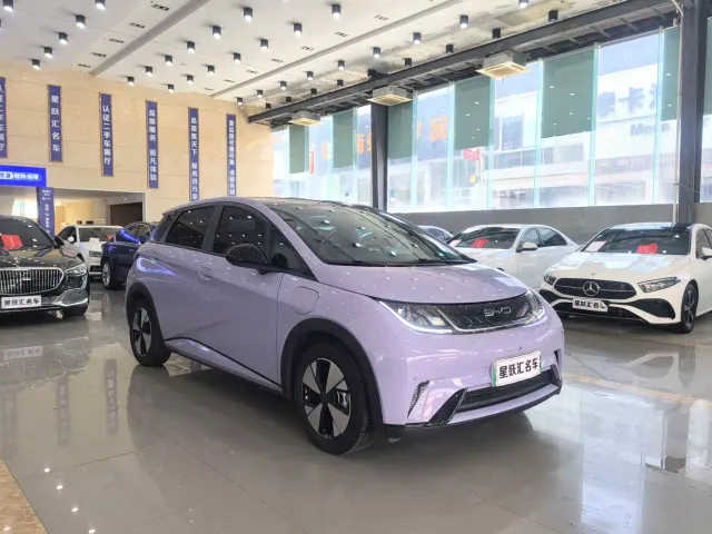 BYD Dolphin — Фото автомобиля 3