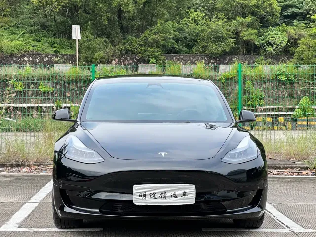 Tesla Model 3 — Фото автомобиля 2