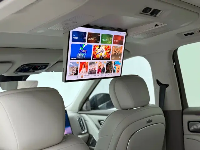 Geely Galaxy M9 — Фото автомобиля 20