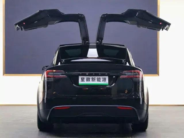 Tesla Model X — Фото автомобиля 22