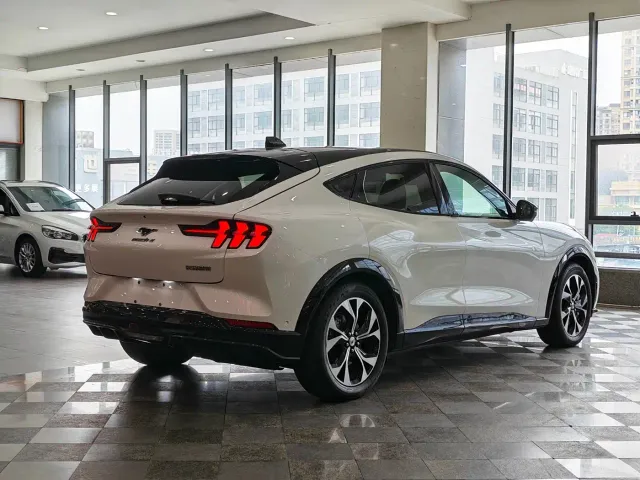 Ford Mustang Mach-E — Фото автомобиля 14