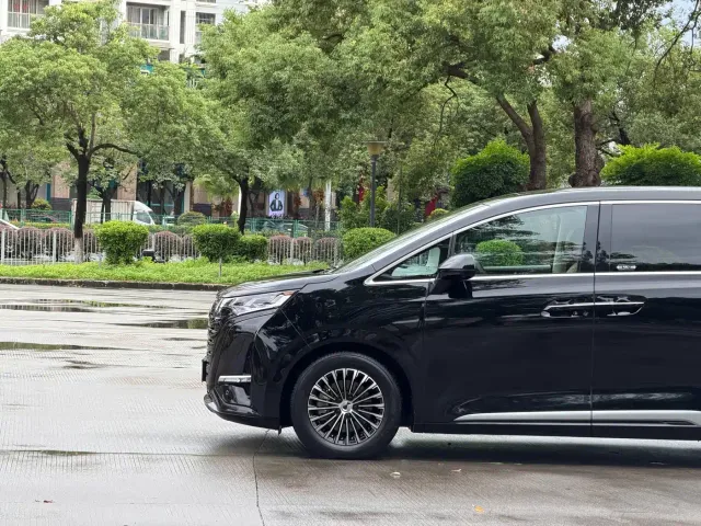 Denza D9 — Фото автомобиля 5