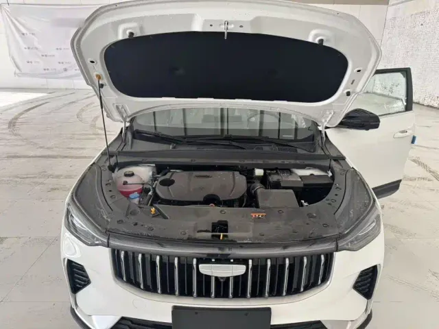 Geely Boyue — Фото автомобиля 19