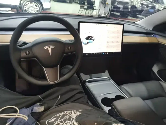 Tesla Model 3 — Фото автомобиля 9