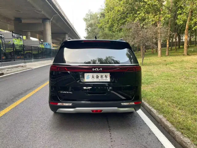 Kia Carnival — Фото автомобиля 19