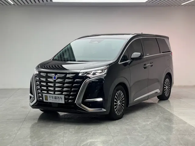 Фотография автомобиля — Denza D9