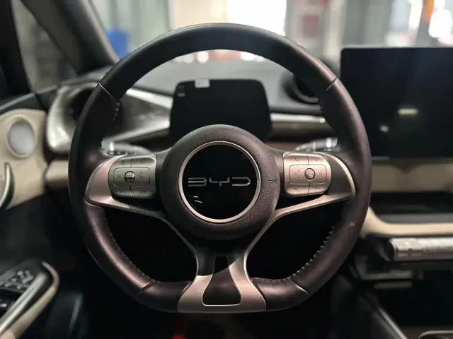 BYD Dolphin — Фото автомобиля 14
