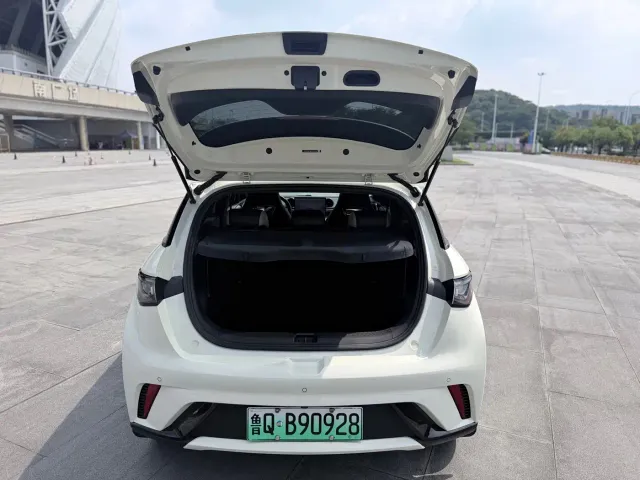BYD Dolphin — Фото автомобиля 10