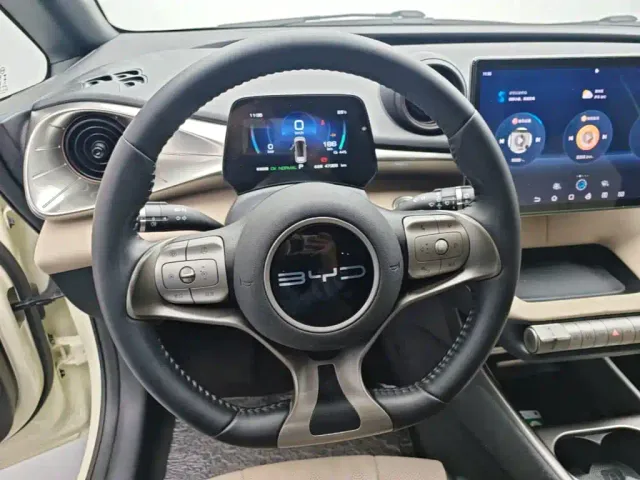 BYD Dolphin — Фото автомобиля 10