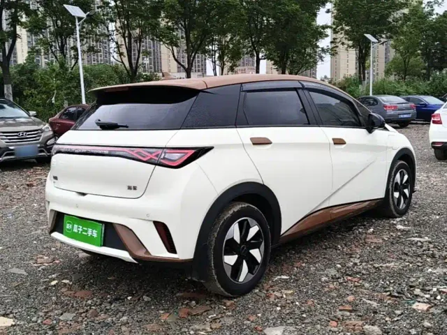 BYD Dolphin — Фото автомобиля 6