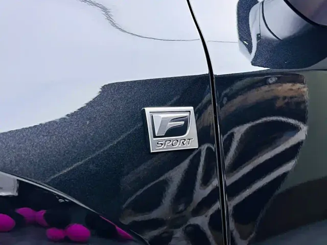 Lexus RX — Фото автомобиля 17