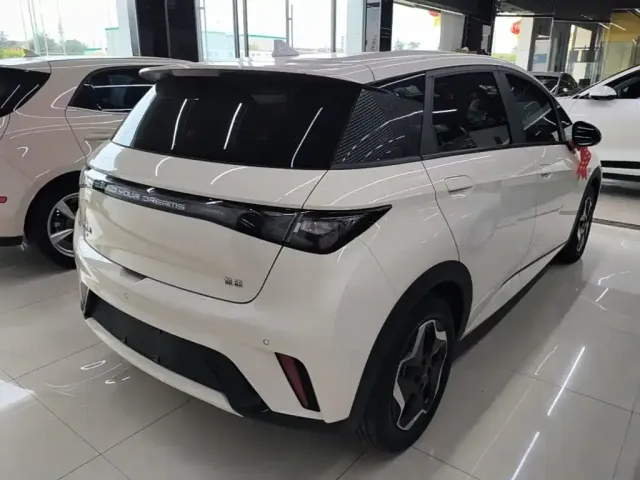 BYD Dolphin 2024 Glory Edition 420km Freedom Edition — Фото автомобиля 6
