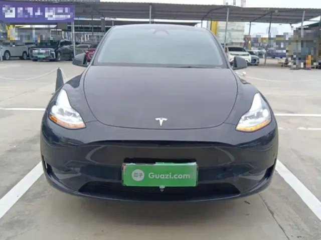 Tesla Model Y — Фото автомобиля 2