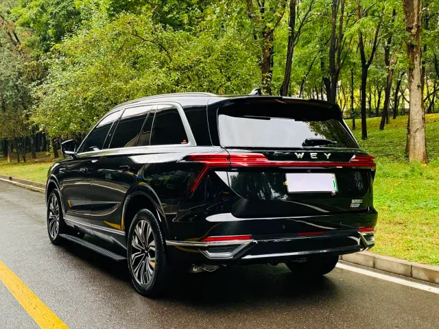 Wey Lanshan — Фото автомобиля 18