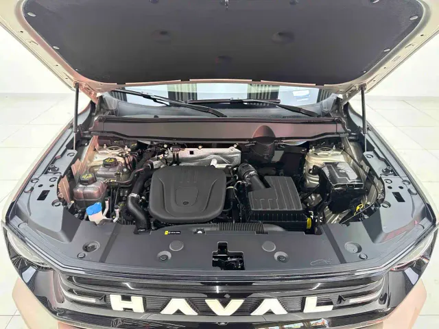 Haval Big Dog — Фото автомобиля 8