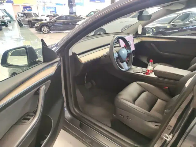 Tesla Model Y — Фото автомобиля 15