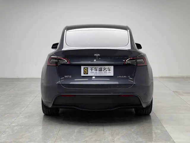 Tesla Model Y — Фото автомобиля 5