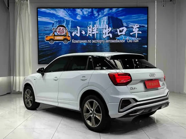 Audi Q2L — Фото автомобиля 6