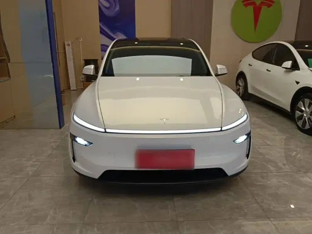 Tesla Model Y — Фото автомобиля 2