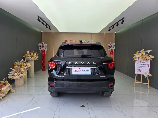 Haval Big Dog — Фото автомобиля 5