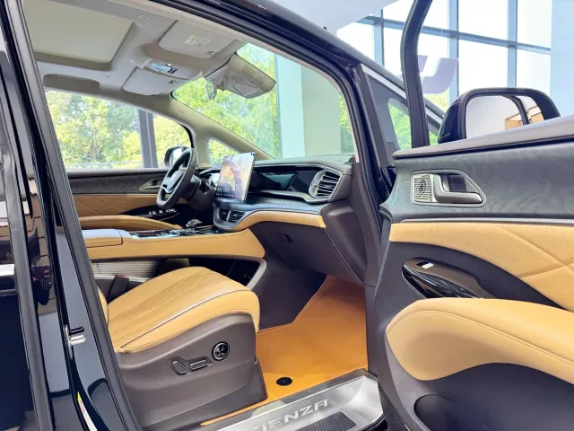 Denza D9 — Фото автомобиля 12