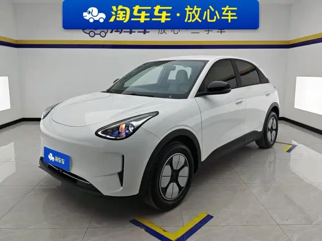 Фотография автомобиля — Geely Starry Wish