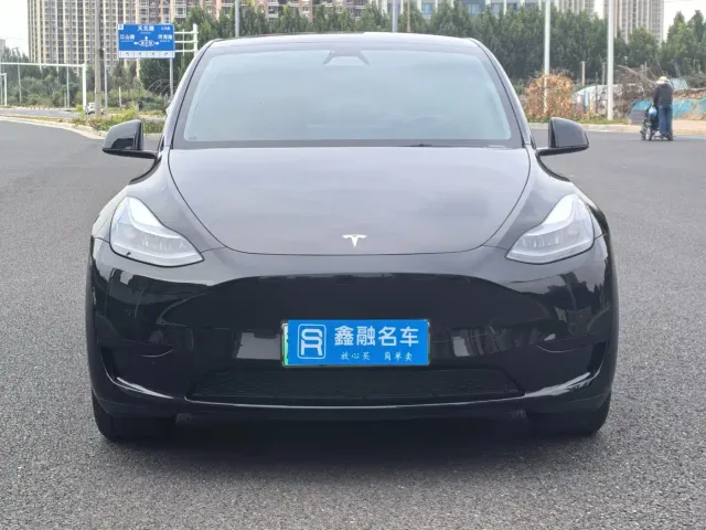 Tesla Model Y — Фото автомобиля 4