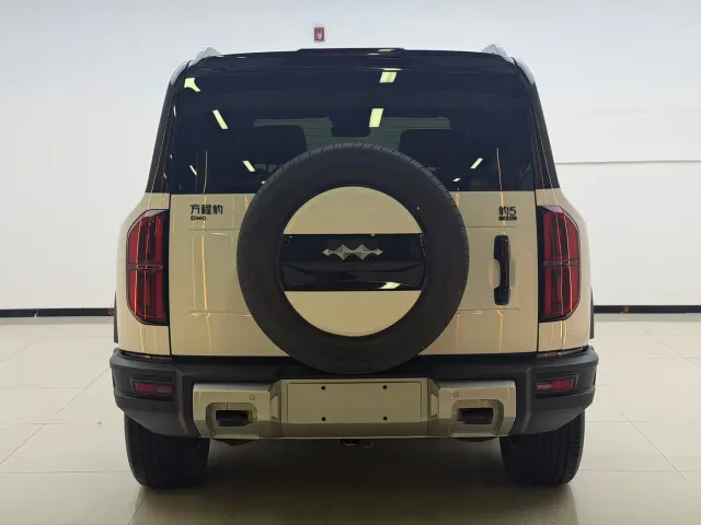 BYD FangChengBao Leopard 5 — Фото автомобиля 8
