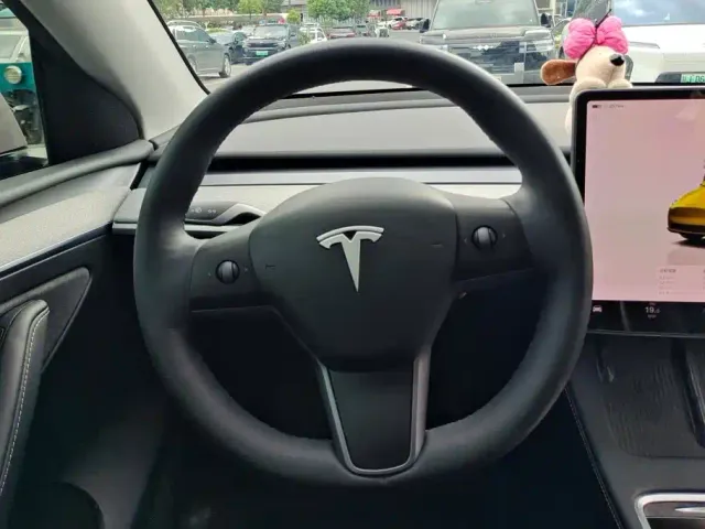 Tesla Model Y — Фото автомобиля 15