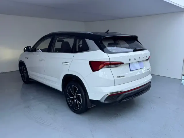 Skoda Kamiq — Фото автомобиля 4