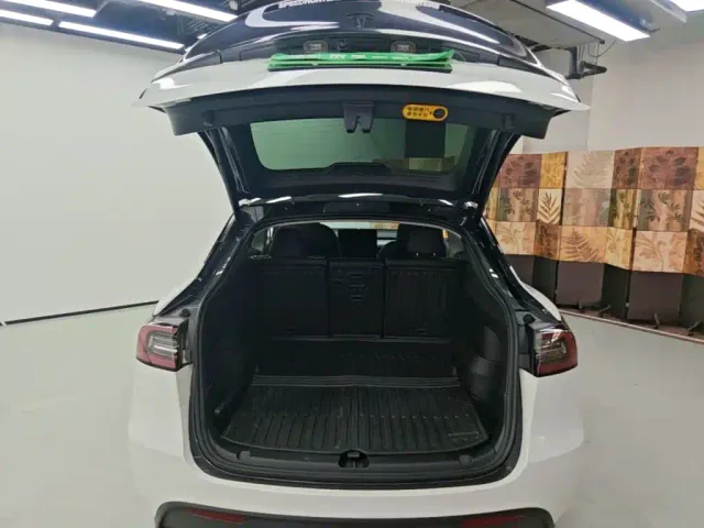 Tesla Model Y — Фото автомобиля 18