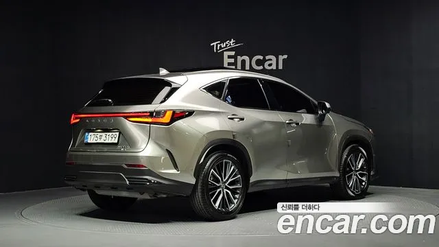 Lexus NX 2nd Gen — Фото автомобиля 2