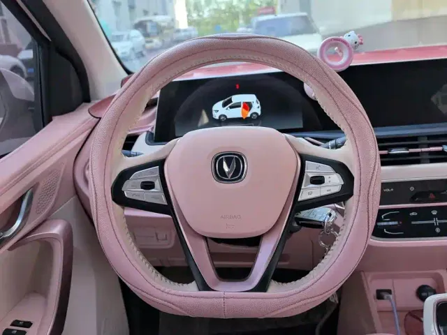 Changan Benben E-Star — Фото автомобиля 15
