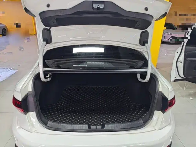 Volkswagen Sagitar — Фото автомобиля 18