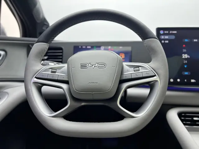 BYD Sealion 06 — Фото автомобиля 11