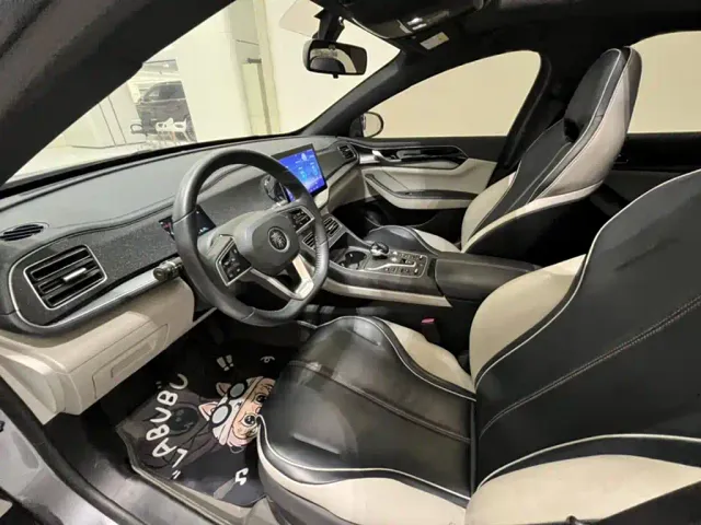 BYD Qin PLUS — Фото автомобиля 6