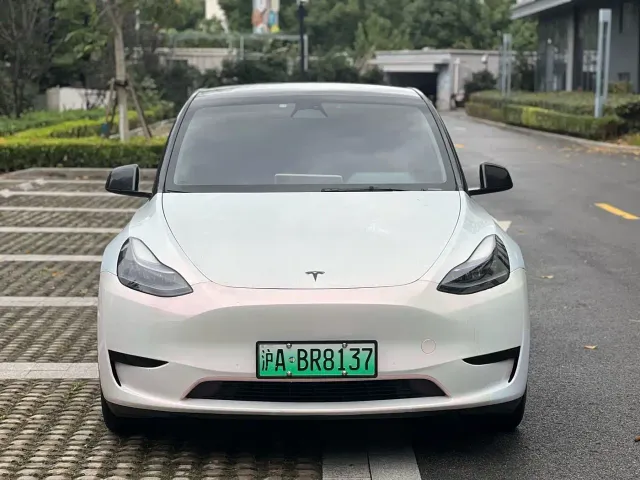 Tesla Model Y — Фото автомобиля 2