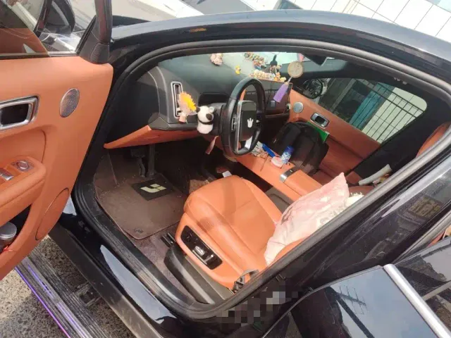 Li Auto L8 — Фото автомобиля 12