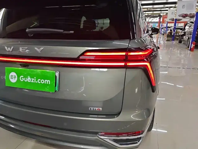 Wey Lanshan — Фото автомобиля 7