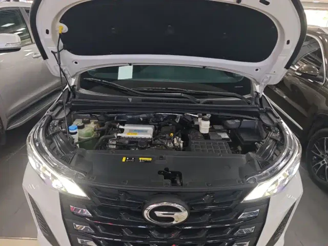 GAC Trumpchi M6 — Фото автомобиля 19